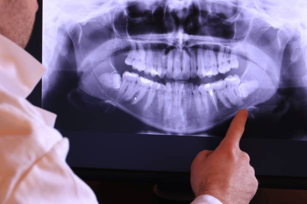 Best Emergency X-Rays and Diagnostics in Long Grove, IA